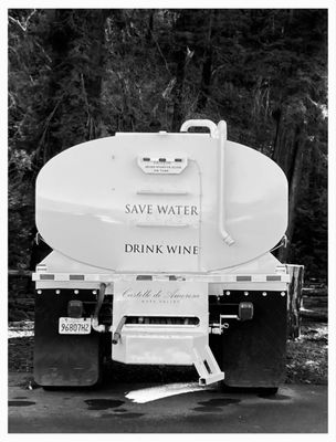 Castello di Amorosa by null