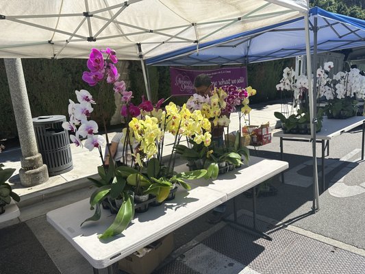 Beverly Hills Farmers Market by null