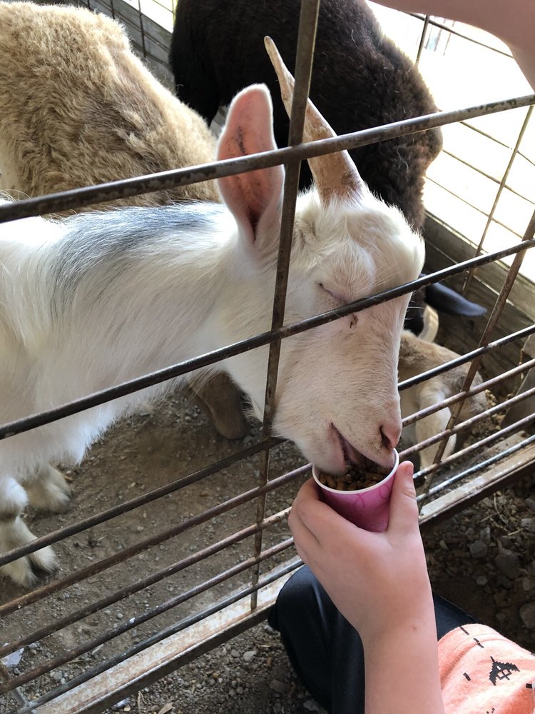 KENTON COUNTY FAIR 2836 Harris Pike, Independence, KY Yelp