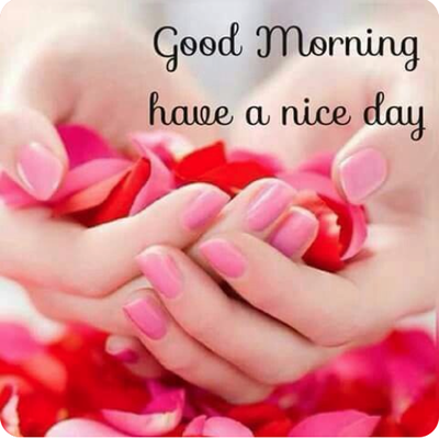 Lovely Day Spa by null