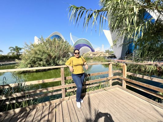 Oceanogràfic València by null