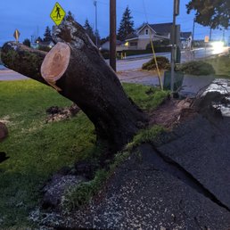 Storm damage Jan 3 2022