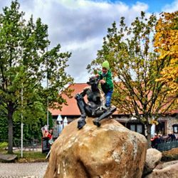 Nationalpark Harz - Am Hexentanzplatz (08/2022)
