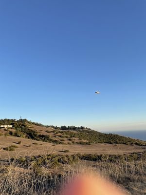 Portuguese Bend by null