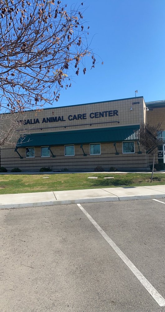 VISALIA ANIMAL CARE CENTER Updated September 2024 29016 Highway 99, Visalia, California
