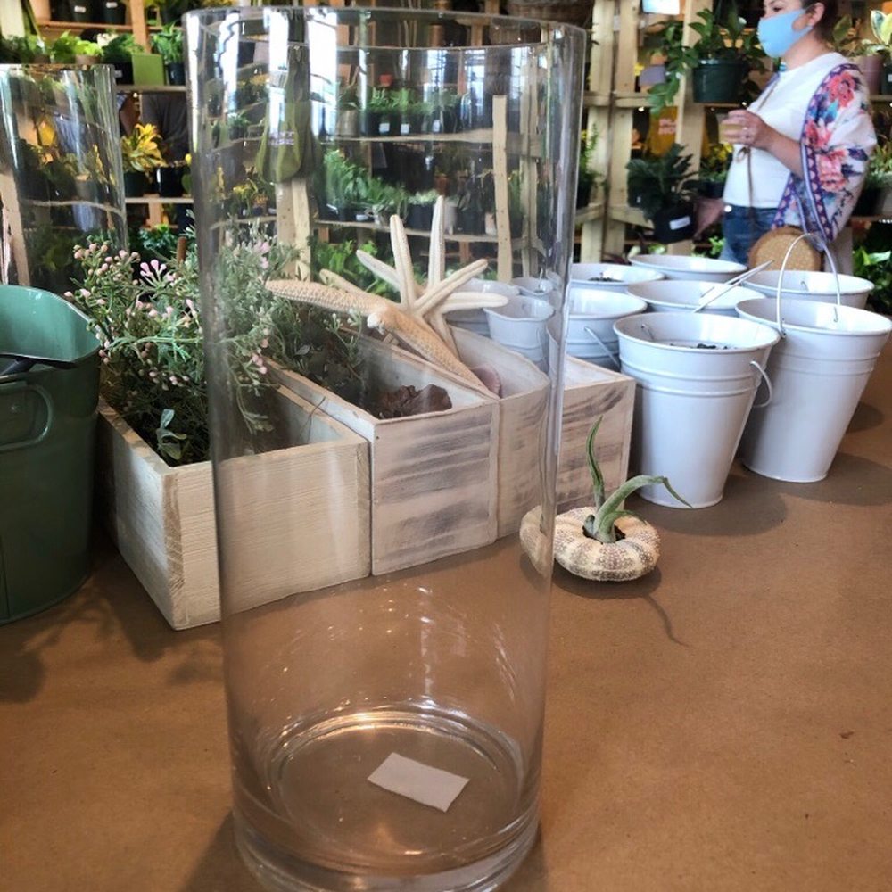 PlantHouse - Empty starting point ! - Nurseries & Gardening Near Me - Charlotte, North Carolina