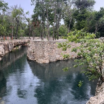 Cenote Tortuga - Cenote tres zapatos - Local Flavor Near Me - Quintana Roo, ROO Cenote Tortuga - Cenote tres zapatos - Local Flavor Near Me - Quintana Roo, ROO