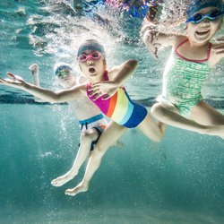 Sweet Blue Swim Academy