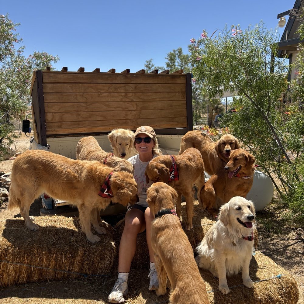 Golden Getaway - Dog Walkers Near Me Golden Getaway - Dog Walkers Near Me