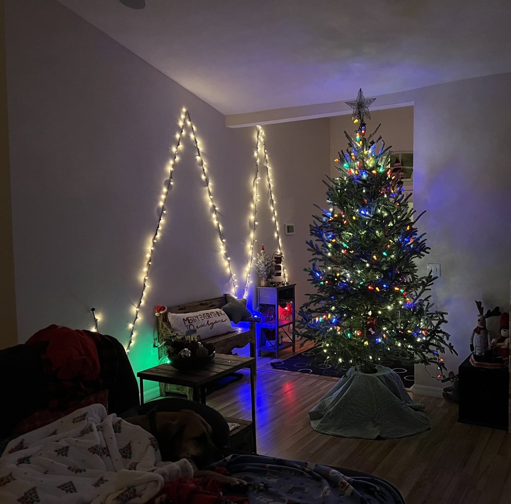 SEVERT’S TREE FARM Updated October 2024 4036 SW 30th Pl