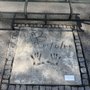 Munich Olympic Walk of Stars