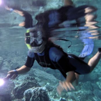 Cenote Dos Ojos - Snorkeling through with the guide. Waterproof bags are highly recommended so you can take photos! - Scuba Diving Near Me - Tulum, ROO Cenote Dos Ojos - Snorkeling through with the guide. Waterproof bags are highly recommended so you can take photos! - Scuba Diving Near Me - Tulum, ROO