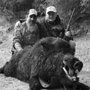 Native Hunt