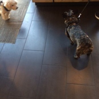 Starbucks - Starbucks Playa Vista is dog friendly - Coffee & Tea Near Me - Playa Vista, California Starbucks - Starbucks Playa Vista is dog friendly - Coffee & Tea Near Me - Playa Vista, California