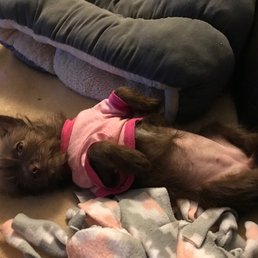 Already feeling comfortable and showing her belly Already feeling comfortable and showing her belly
