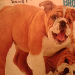 Petco has all the items needed to make your furry friend a happy one. Petco has all the items needed to make your furry friend a happy one.
