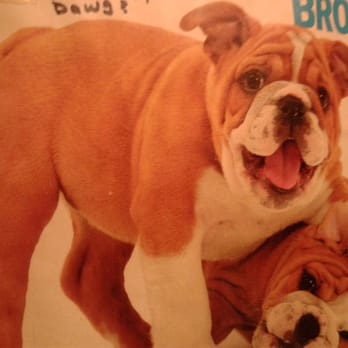 Petco - Petco has all the items needed to make your furry friend a happy one. - Pet Training Near Me - Duluth, Georgia Petco - Petco has all the items needed to make your furry friend a happy one. - Pet Training Near Me - Duluth, Georgia