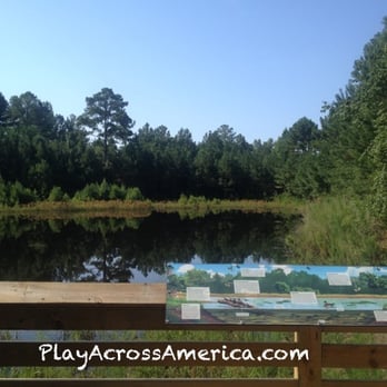 Anderson Creek County Park - Playgrounds Near Me - Lillington, North Carolina