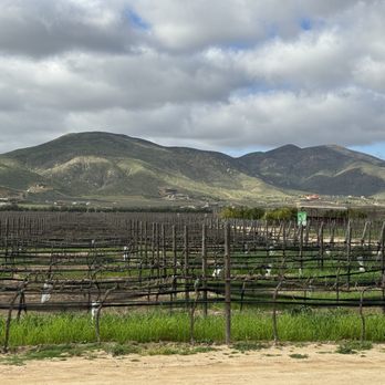 El Cielo - Wineries Near Me - El Porvenir, BCN