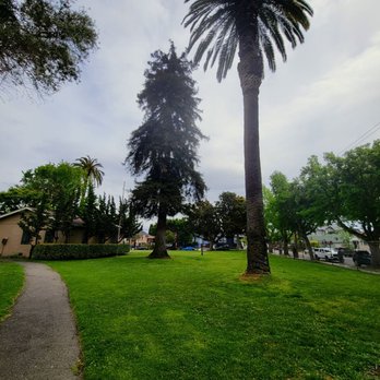 McKinley Park - Tall trees and turf - Parks Near Me - Alameda, California McKinley Park - Tall trees and turf - Parks Near Me - Alameda, California
