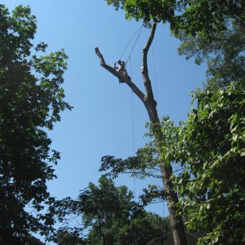 Townsend Tree Trimming - Townsend Tree Trimming - Tree Services Near Me Townsend Tree Trimming - Townsend Tree Trimming - Tree Services Near Me