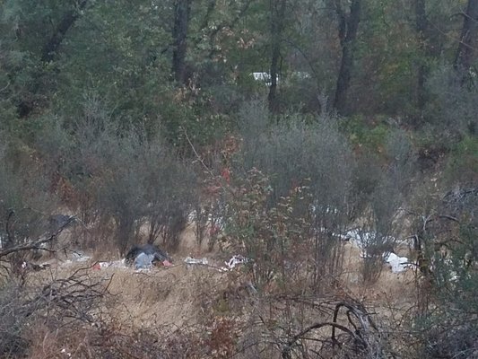 Antlers Resort and RV park by null
