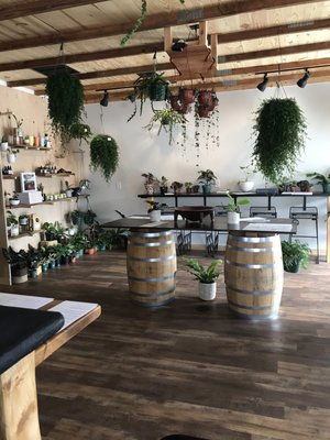 Wildcrafters Booze-Free & Kava Bar by null