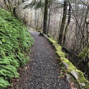 Bridal Veil Falls - Going down - Hiking Near Me - Corbett, Oregon
