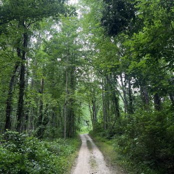 Addison Oaks County Park - Parks Near Me - Leonard, Michigan