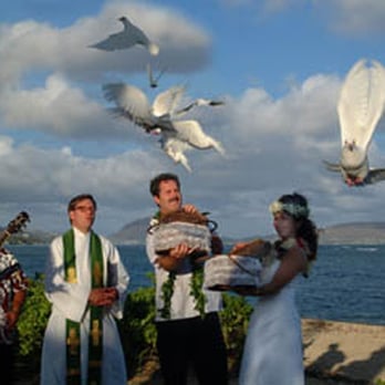White Doves of Koolau - Dove release at Waialae Beach Park, island of Oahu, state of Hawaii. - Wedding Planning Near Me - Kaneohe, Hawaii White Doves of Koolau - Dove release at Waialae Beach Park, island of Oahu, state of Hawaii. - Wedding Planning Near Me - Kaneohe, Hawaii