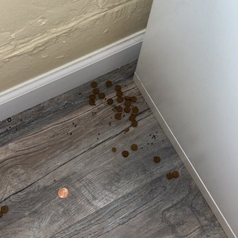 Cascade Senator Apartments - Pile of dog food that they would steal from my dogs bowl. Main food is in a sealed tin. - Apartments Near Me - Yakima, Washington