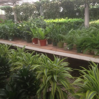 Rolling Greens - Nurseries & Gardening Near Me - Culver City, California Rolling Greens - Nurseries & Gardening Near Me - Culver City, California
