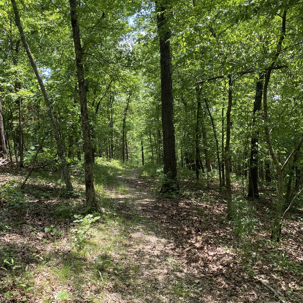 Branson Treehouse Adventures - Hiking trail on the property - Campgrounds Near Me - Branson West, Missouri