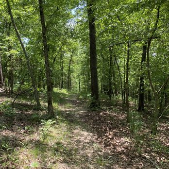 Branson Treehouse Adventures - Hiking trail on the property - Campgrounds Near Me - Branson West, Missouri Branson Treehouse Adventures - Hiking trail on the property - Campgrounds Near Me - Branson West, Missouri