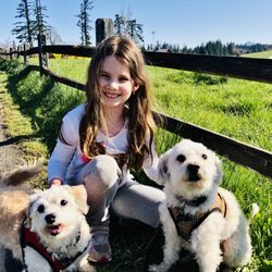 Compass Veterinary Clinic - Bruno, Ev, and Teddy