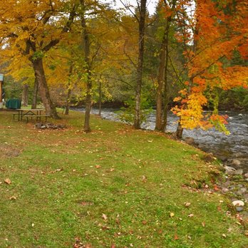 Moose River Campground - Autumn foliage - Campgrounds Near Me - Saint Johnsbury, Vermont