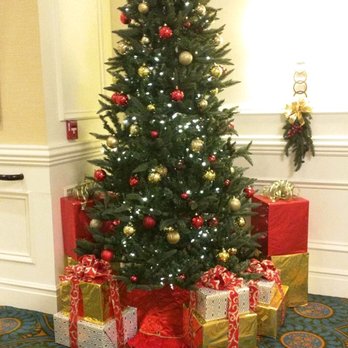 Charleston Marriott - Tree upstairs - Hotels Near Me - Charleston, South Carolina