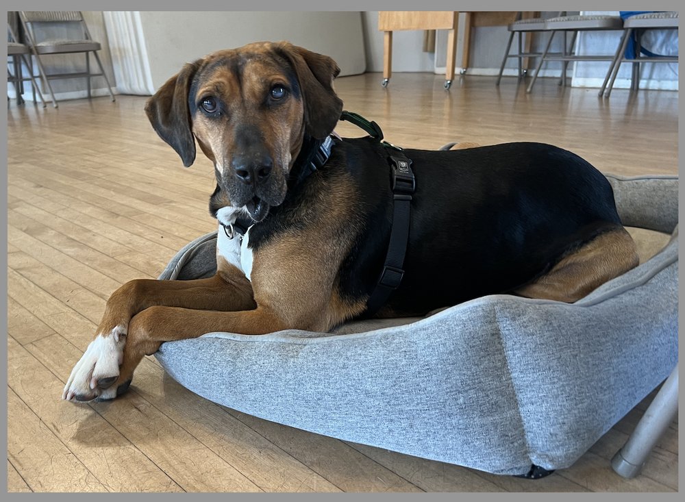 o Jupiter Florida Real Estate For Sale