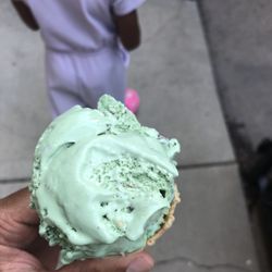 Cone Gourmet Ice Cream - Oscar the grouch