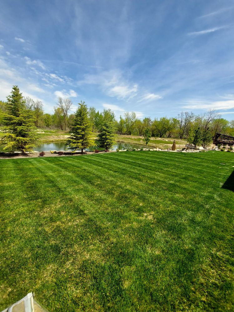 THE LAWN SQUAD LAWN SERVICE Updated September 2024 Request a Quote