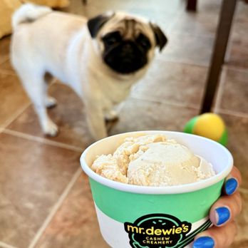 Mr Dewie's Cashew Creamery - Lemon Crème - Desserts Near Me - Albany, California Mr Dewie's Cashew Creamery - Lemon Crème - Desserts Near Me - Albany, California