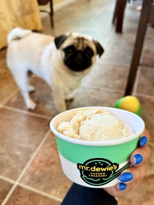 Mr. Dewie’s Cashew Creamery by null