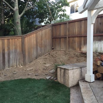Rolas Tree Service - After - Tree Services Near Me Rolas Tree Service - After - Tree Services Near Me