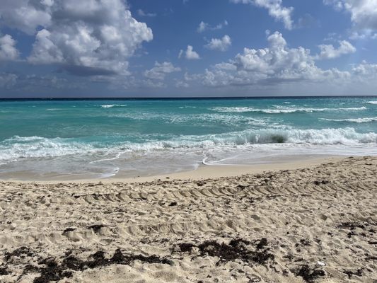 Dolphins Beach by null