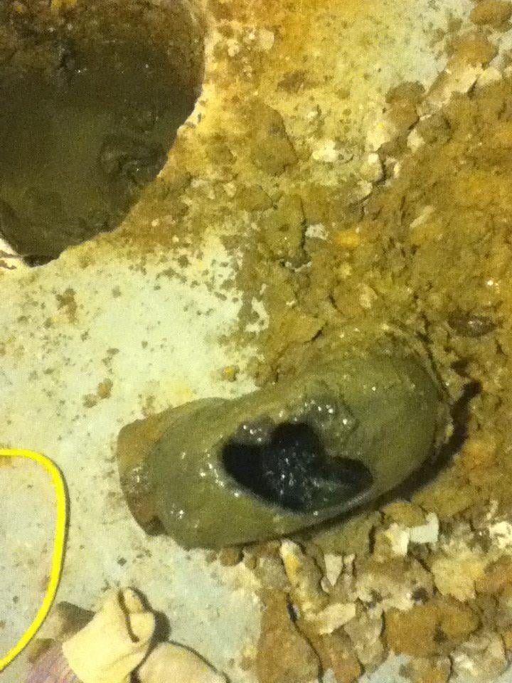 Slide of J A M Plumbing & Drains