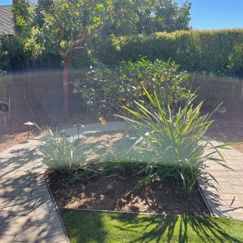 Your Way Tree Service - Tree Services Near Me
