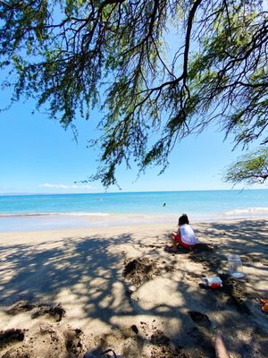 Olowalu Beach by null