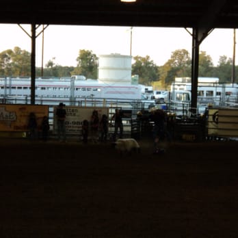 Tejas Rodeo - Mutton Bustin' where kids ride on sheep instead of bulls - Steakhouses Near Me - Bulverde, Texas Tejas Rodeo - Mutton Bustin' where kids ride on sheep instead of bulls - Steakhouses Near Me - Bulverde, Texas