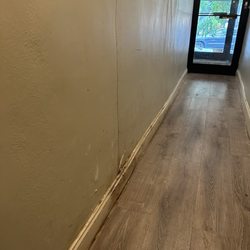 Chestnut Holdings - Sewage in common hallway