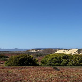 Fort Ord Dunes State Park - Beaches Near Me - Marina, California Fort Ord Dunes State Park - Beaches Near Me - Marina, California